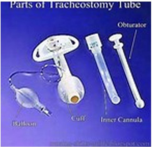 Parts of a Trache Tube 22 Parts of a Trache Tube 22